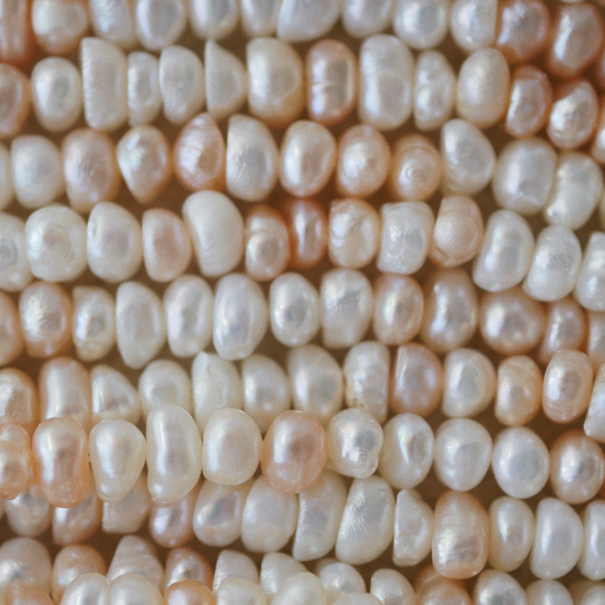 A close-up, top-down view of numerous irregular baroque pearls in soft cream, ivory, and pale peach tones, filling the entire frame.