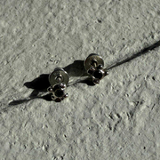 Silver Earrings "Coral Grain"