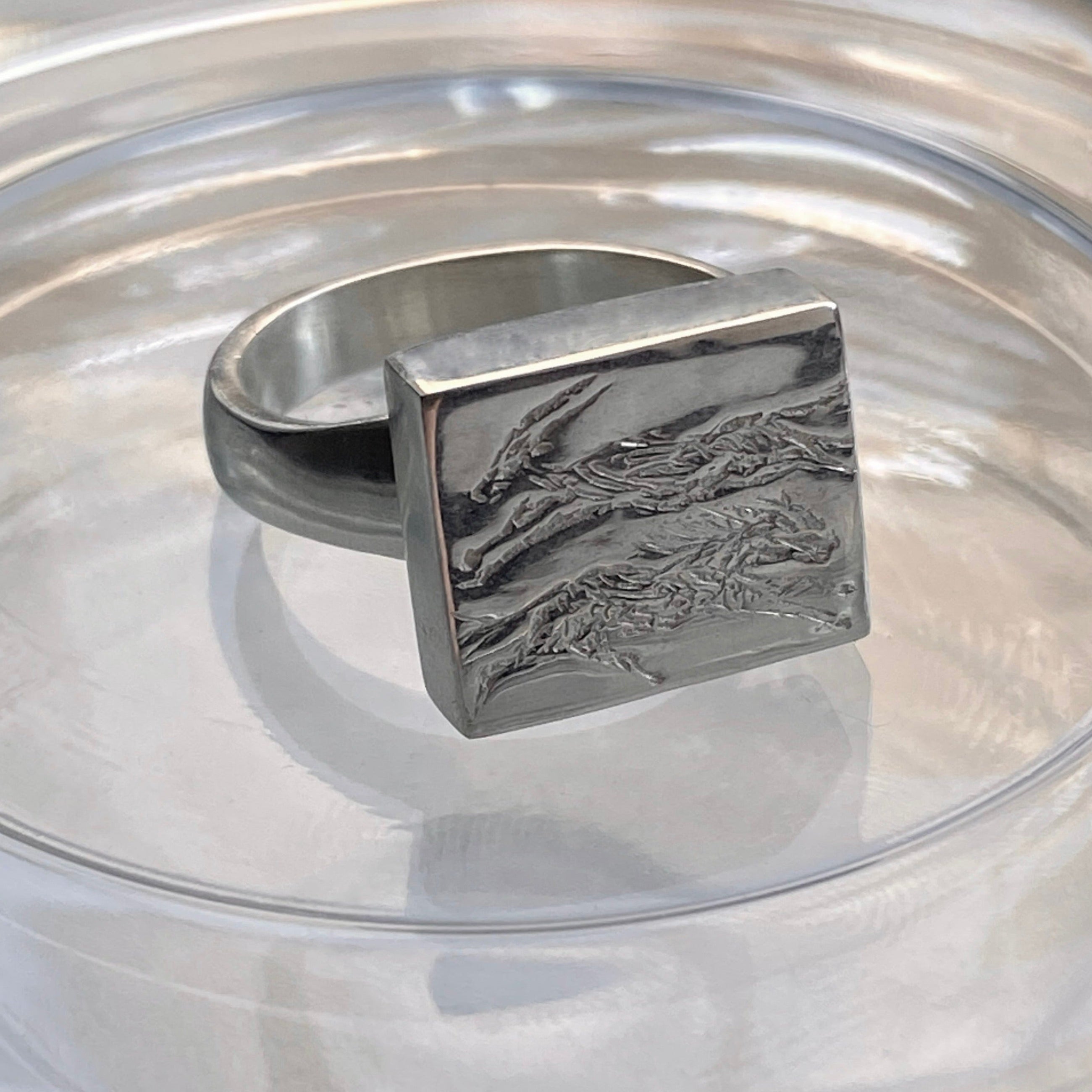 Silver Ring "Spirited Away"