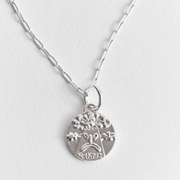 Silver Necklace "Pyktis"