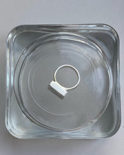 Silver Ring "Spirited Away"