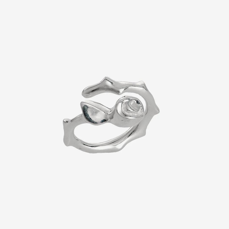 Silver Ring with Diamond "Puikybė"