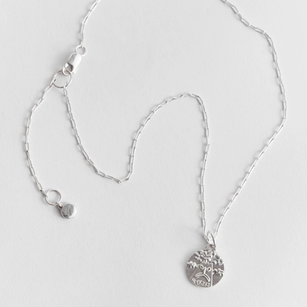 Silver Necklace "Pyktis"