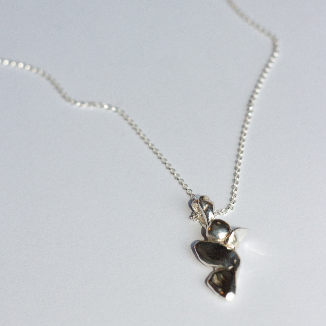 Silver Necklace "Wish"