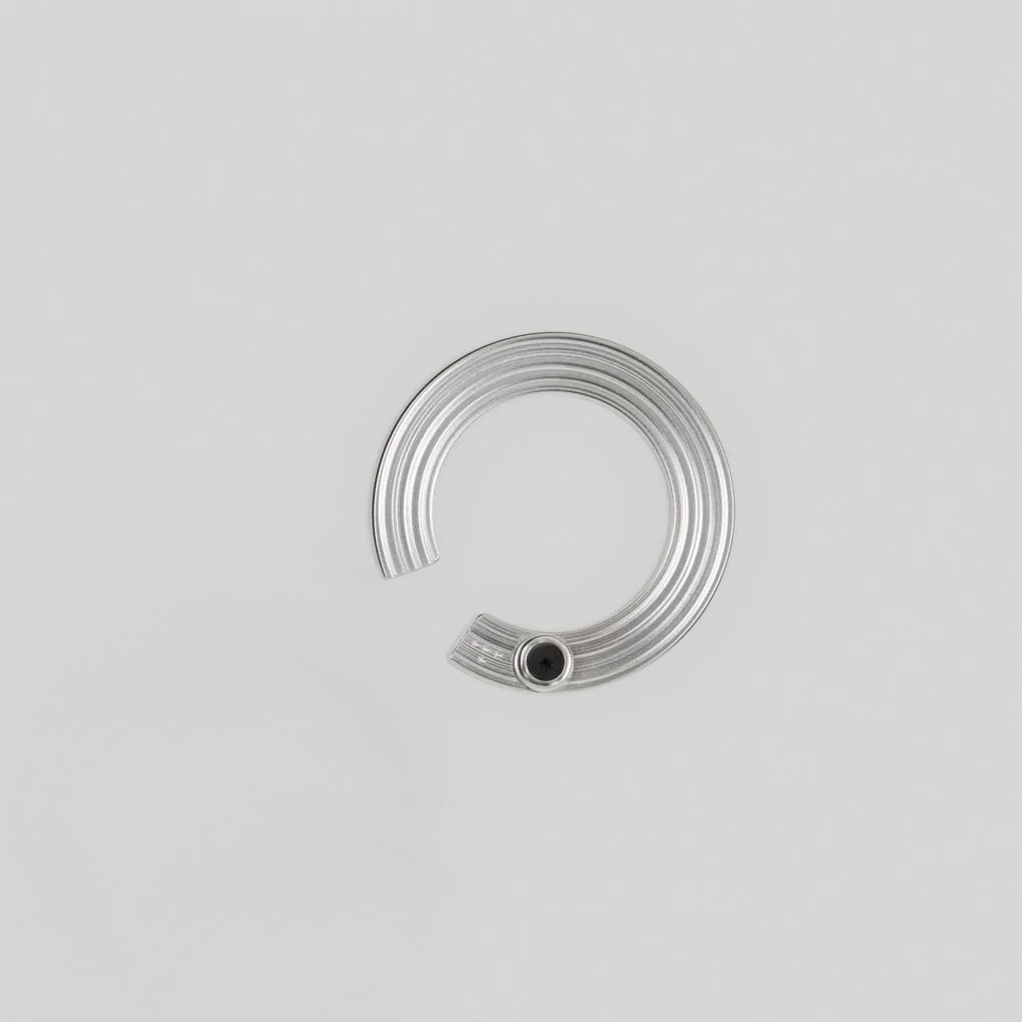 Sidabriniai auskarai „Fore" + „C-Line Orbit"