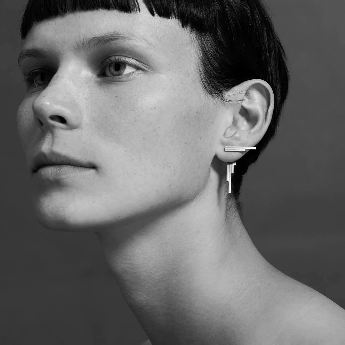 Silver Earrings "Concord¹"