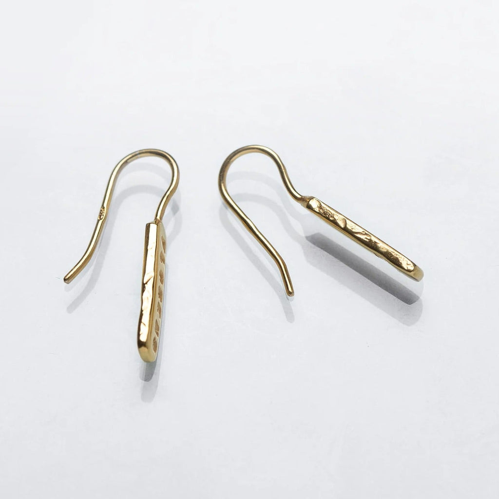 Silver Earrings "Omnia Mutantur, Nihil Interit / Everything Changes, Nothing Perishes.”