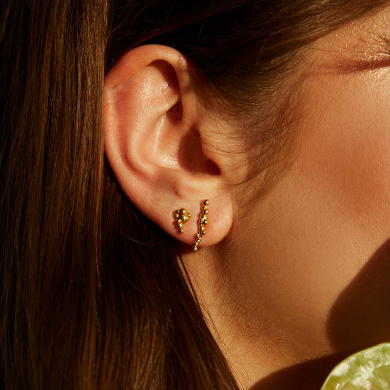 A close-up of a person's ear wearing a pair of small gold stud earrings with tiny dangling gold beads, set against warm golden-hour sunlight and dark brown hair.