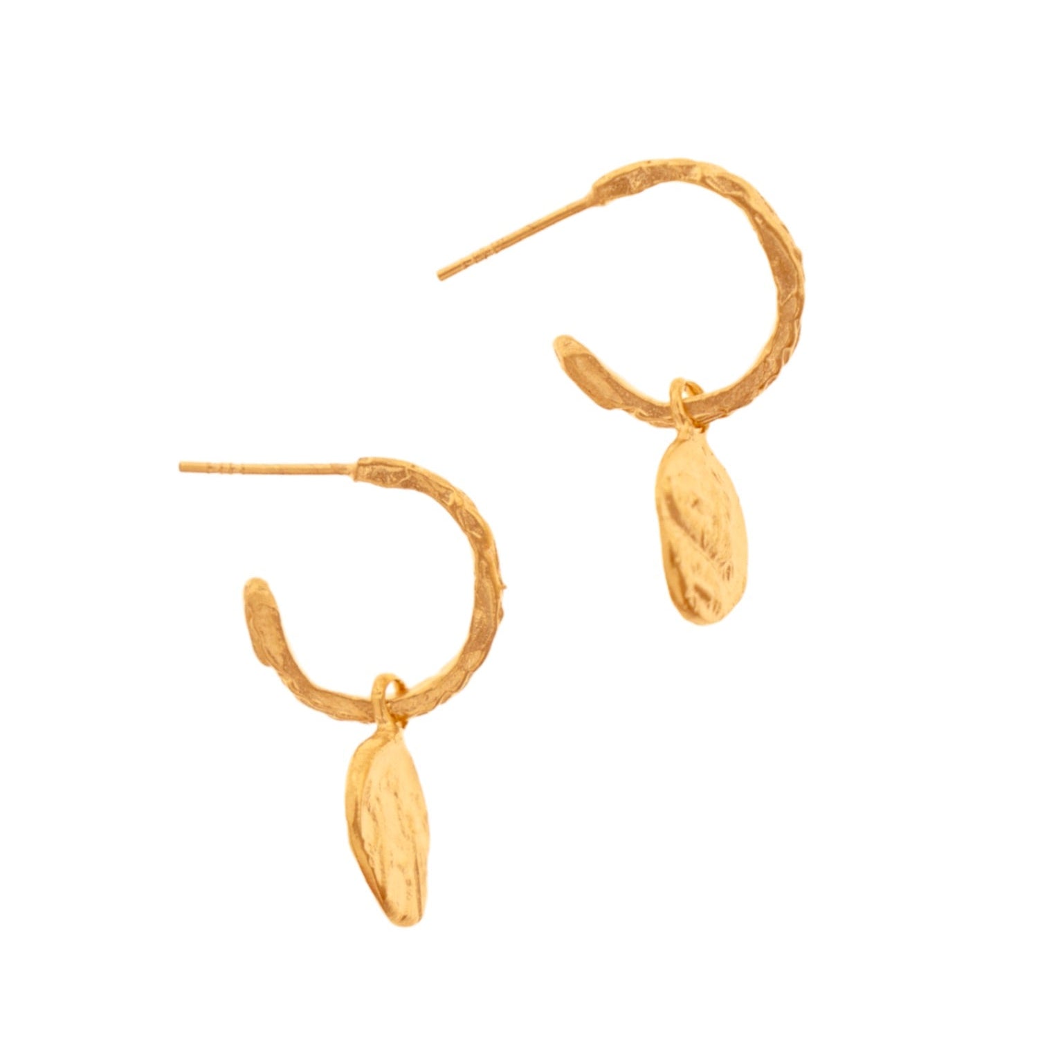 Pair of gold earrings with coin-like designs on a white background