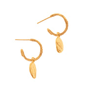 Pair of gold earrings with coin-like designs on a white background