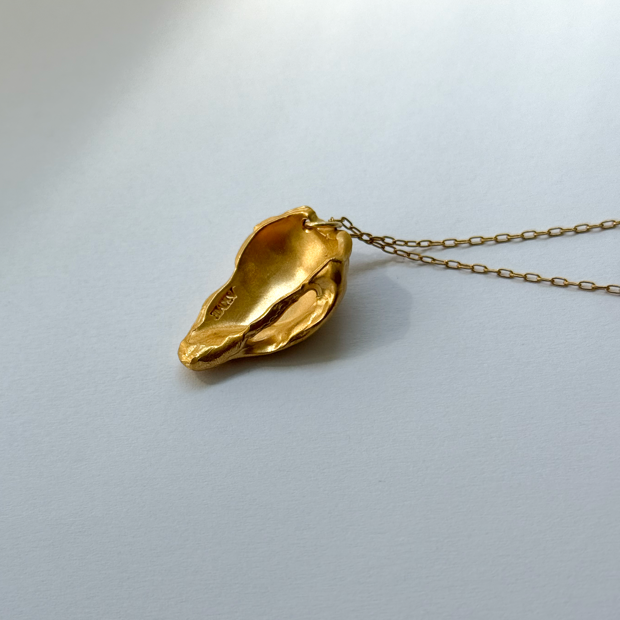 Gold pendant on a chain against a light gray background