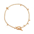 Pearl necklace with a decorative clasp on a white background