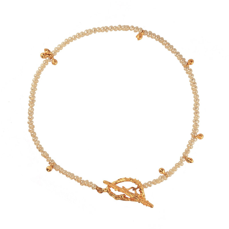Pearl necklace with a decorative clasp on a white background