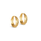 Pair of gold hoop earrings on a white background