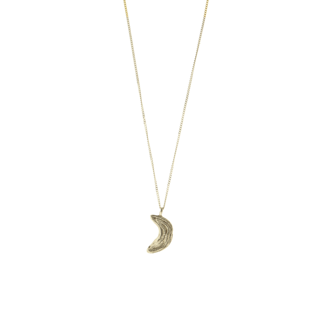 Silver crescent moon necklace on a white background