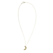 Silver necklace with a crescent moon pendant on a white background