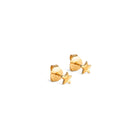 Gold Plated Silver Stud Earrings "Star Energy"