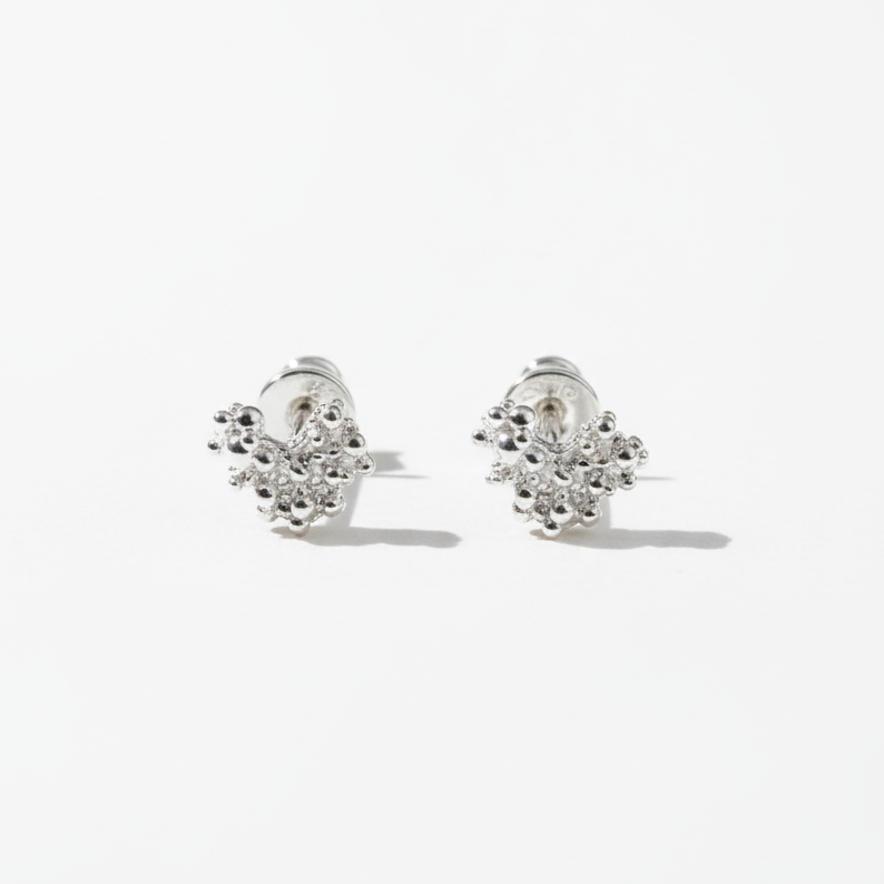 Silver Earrings "Tell it to My Heart"