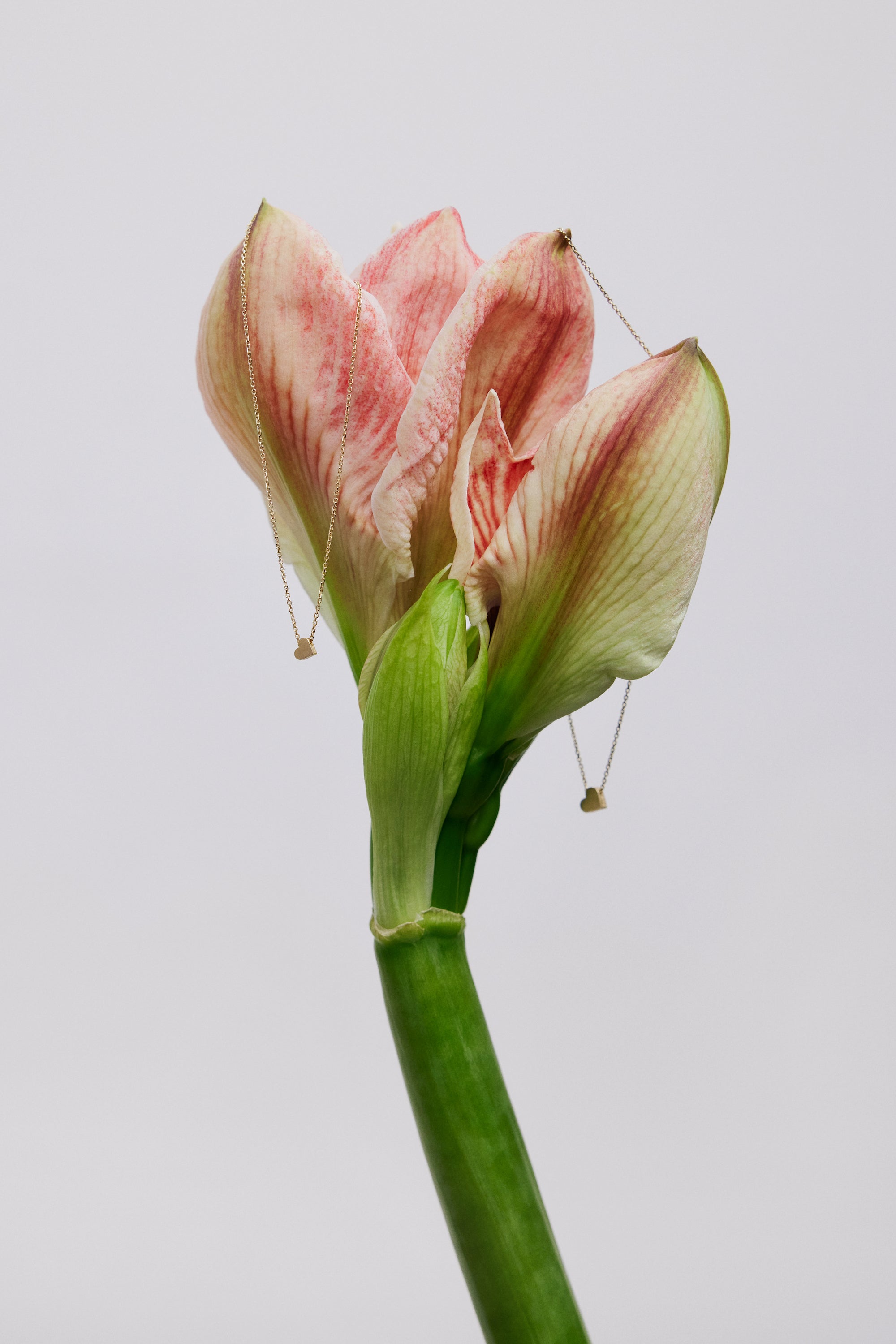Yellow Gold Necklace "Amour", small