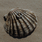 Seashell with a ring on a sandy surface