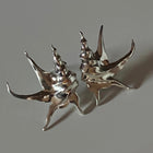 Silver Earrings "Sea Crea"