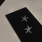 Silver Earrings "Twinkle Twinkle"