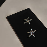 Silver Earrings "Twinkle Twinkle"