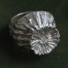 Silver ring with textured design on a dark background