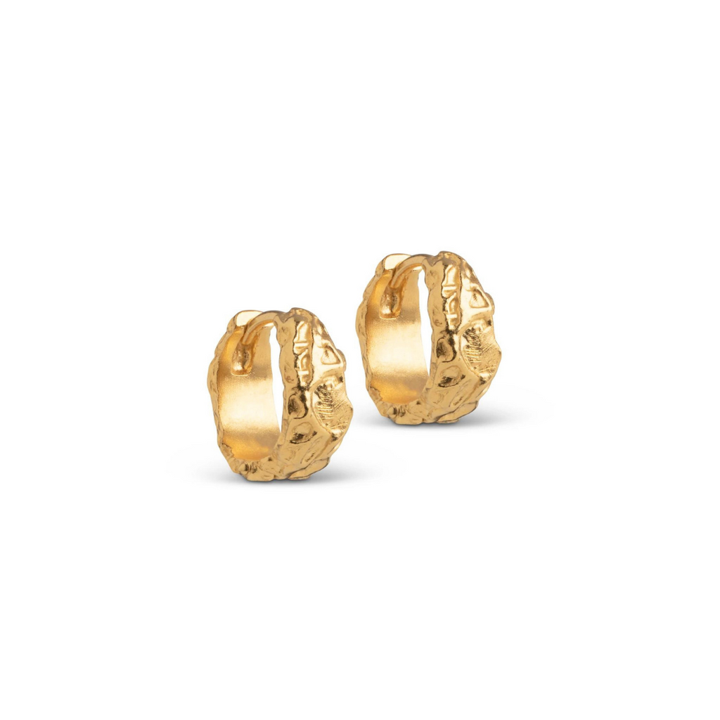 18K Gold Plated Silver Hoop Earrings "Nela”