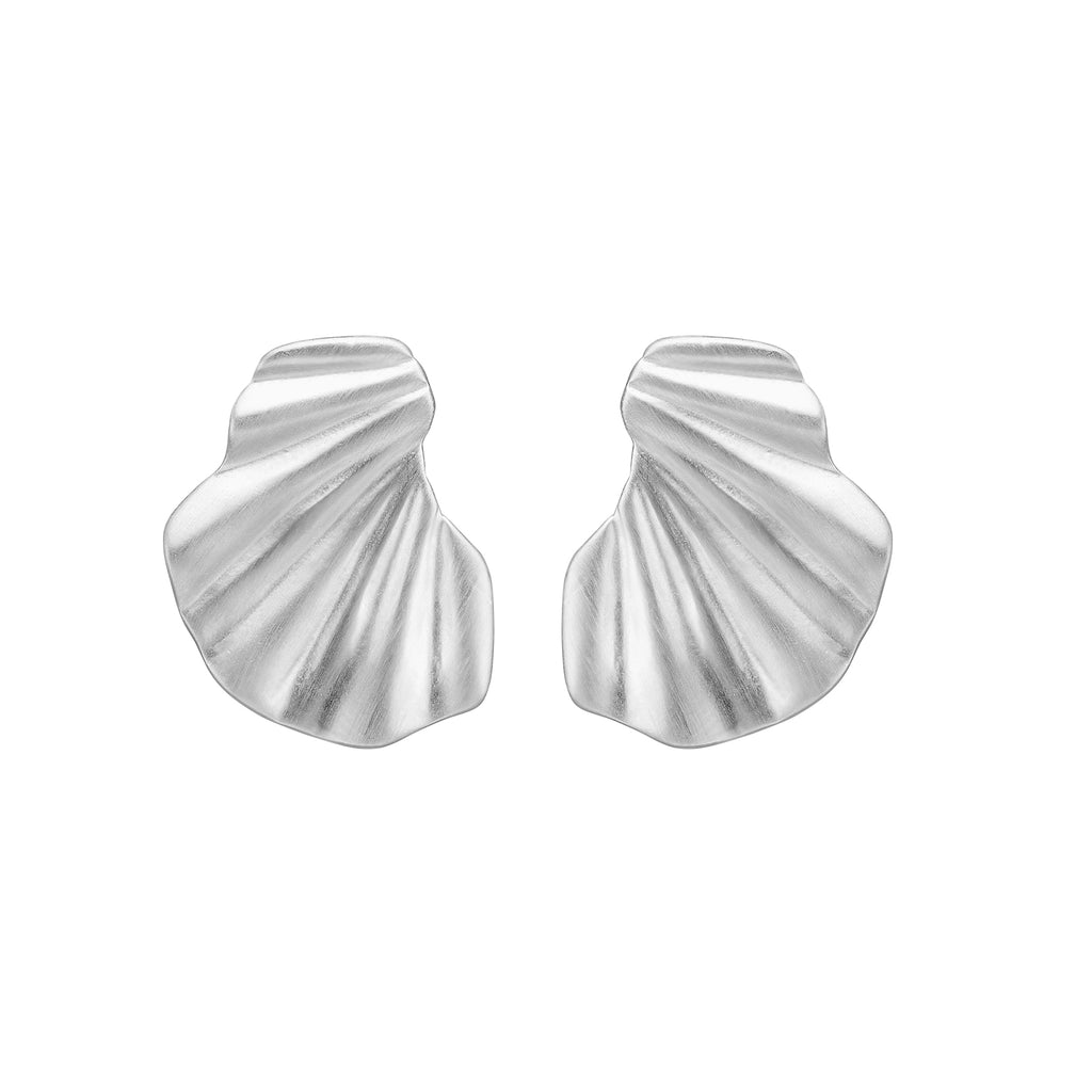 Silver Earrings "Wave"